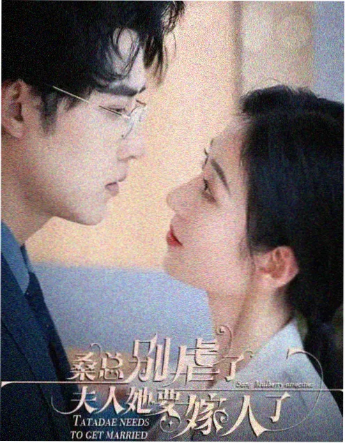 玻璃塔上的猫 剧集海报